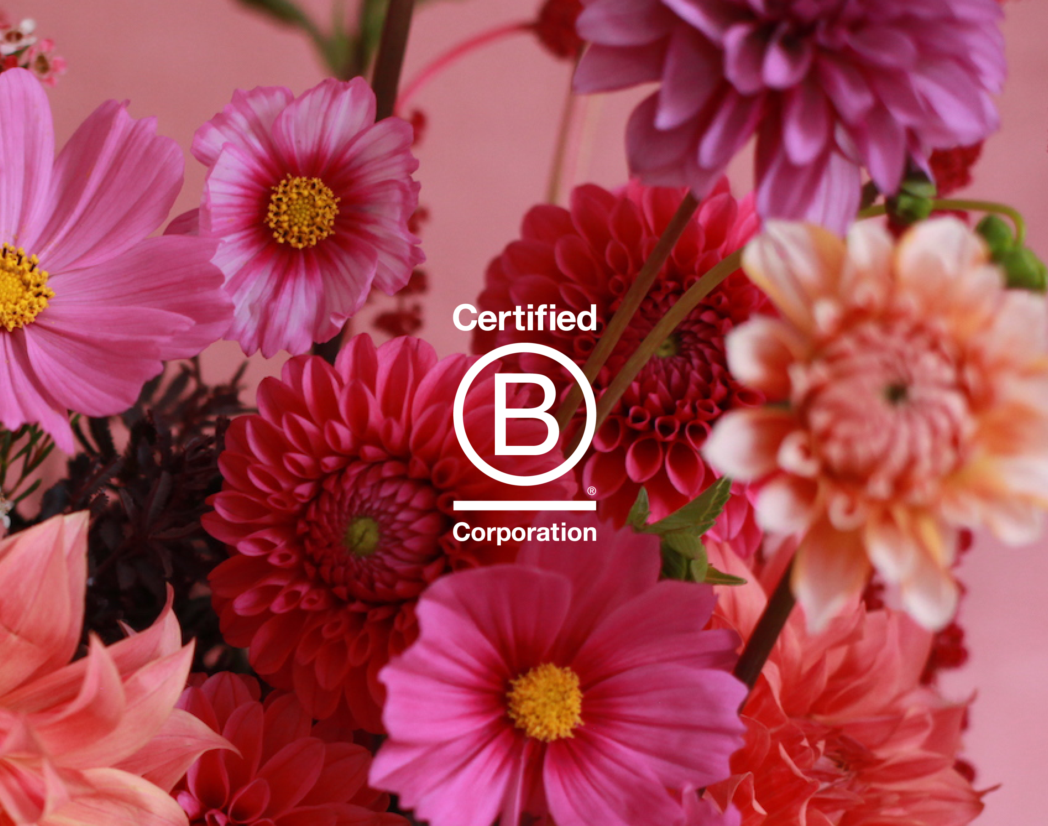 Florada florist Sydney Certified B Corp