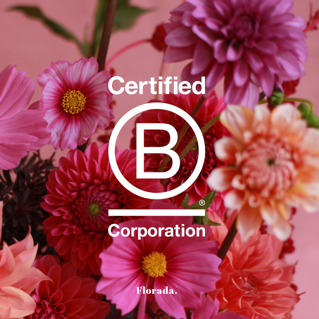Sydney florist B Corp Certified. Send flowers today! Florada