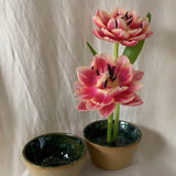 RAD Ikebana Vase + Kenzan Flower Aid