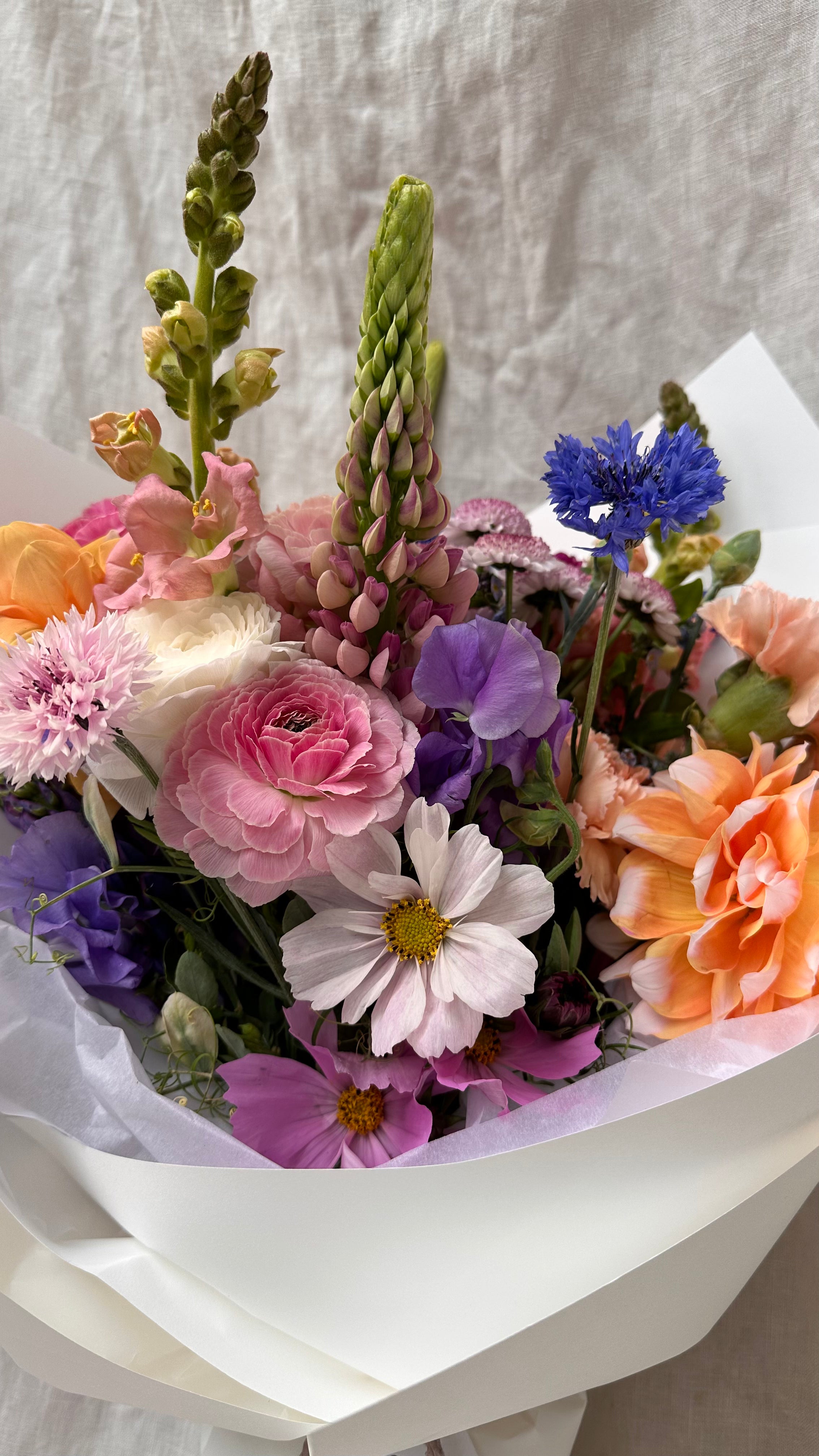 Close up of Florada floral bunch with mixed flowers as selected by florist including dahlias, ranunculus, lupins, cornflower, cosmos and carnations. 