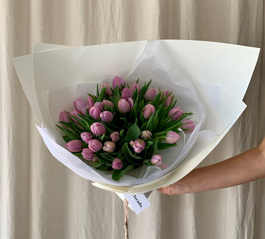 En masse Australian grown tulips in beautiful stone coloured paper and silk ribbon. 