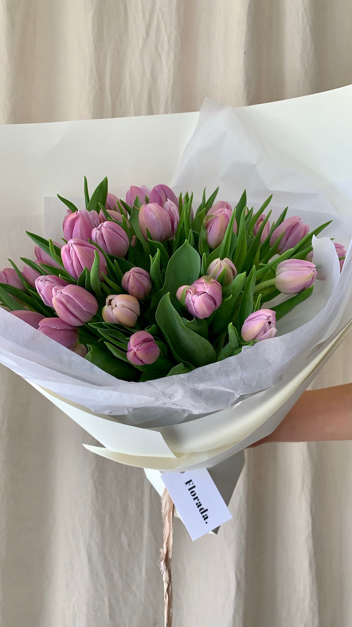 En masse Australian grown tulips in beautiful stone coloured paper and silk ribbon. 